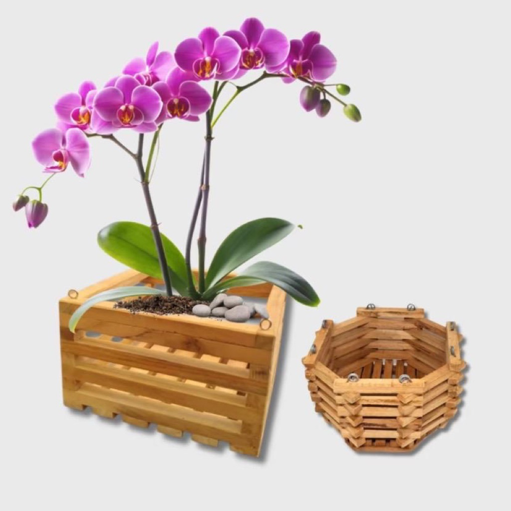 Pot Anggrek Kayu 18cm/Pot Kayu 18cm/Pot Anggrek Murah