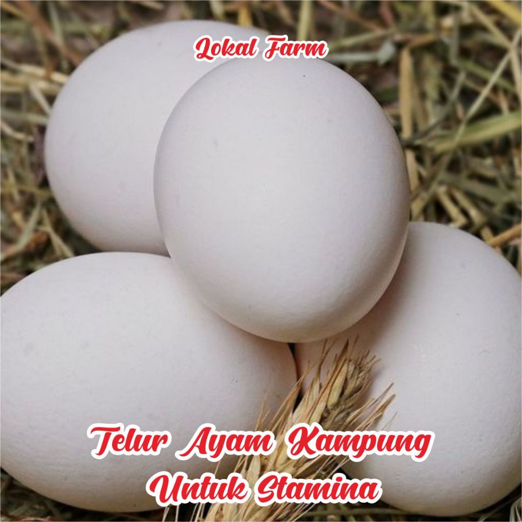 

PAKET TELUR AYAM KAMPUNG ISI 10 BUTIR / AYAM JAWA BUAT STAMINA TUBUH KAYA OMEGA DLL