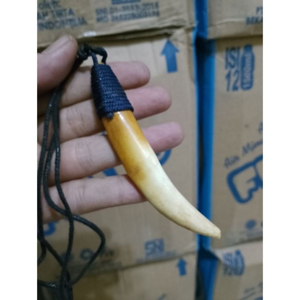 kalung leontin tarcan