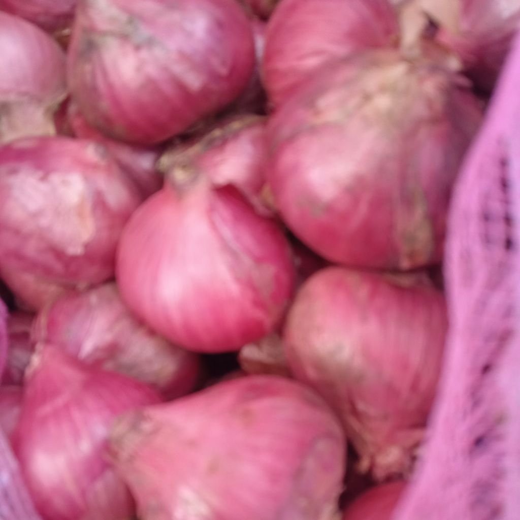 

Bawang Merah BATU MALANG ukuran BESAR