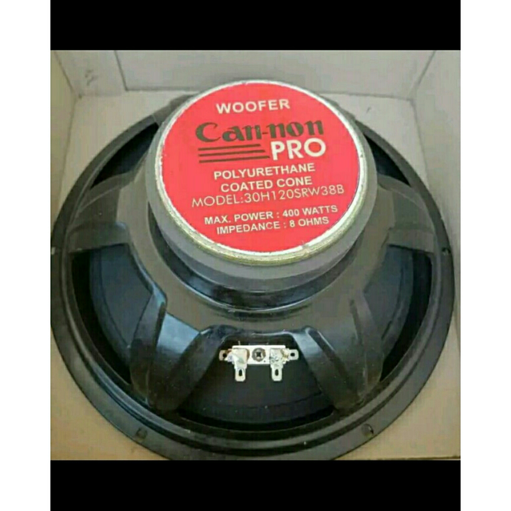 speaker 12 inch canon 400 watt 8 ohm