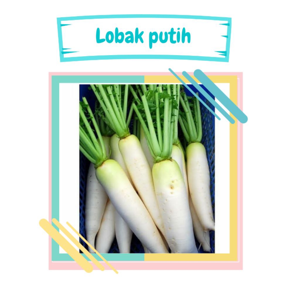 

sayur lobak putih