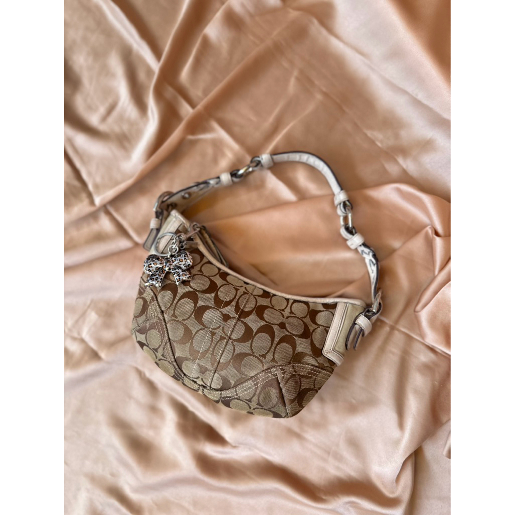 Coach Hobo Mini Signature Bag