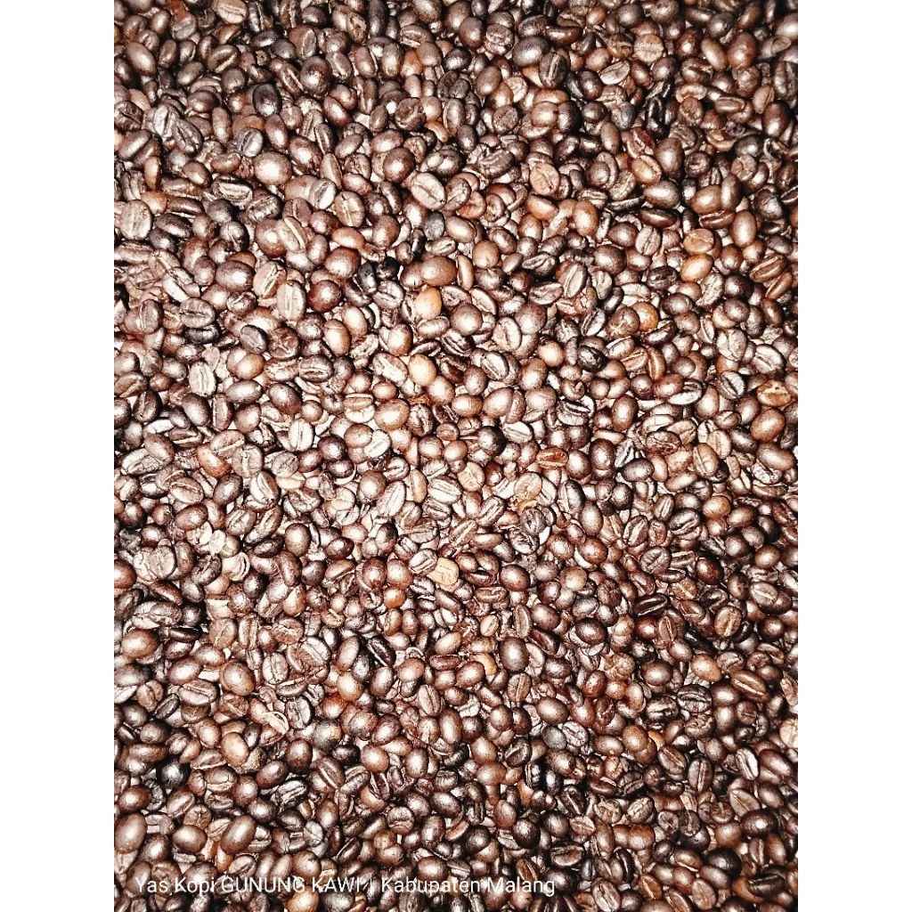 

ROAS BEAN ROBUSTA BANGELAN,GUNUNGKAWI.