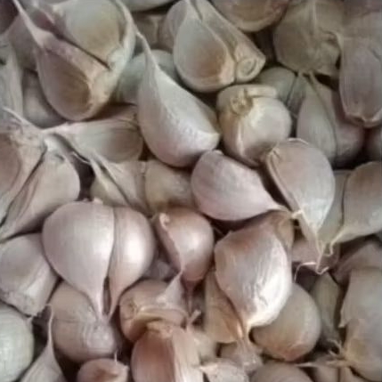 

BAWANG PUTIH KATING 1KG