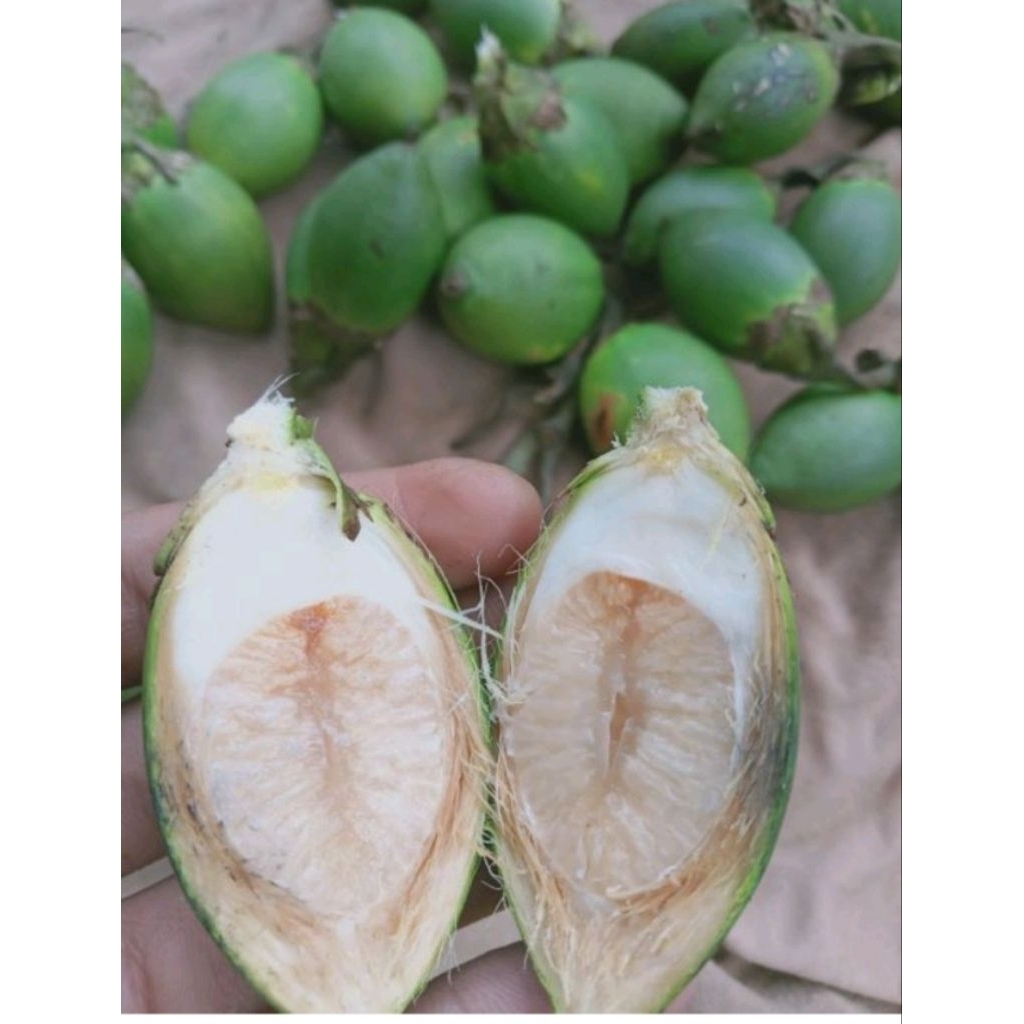 

pinang muda segar/jame muda per10 biji