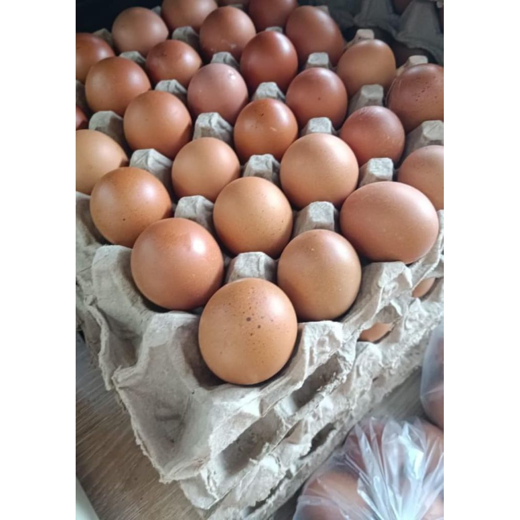 Telur Ayam 1 Iket 10kg