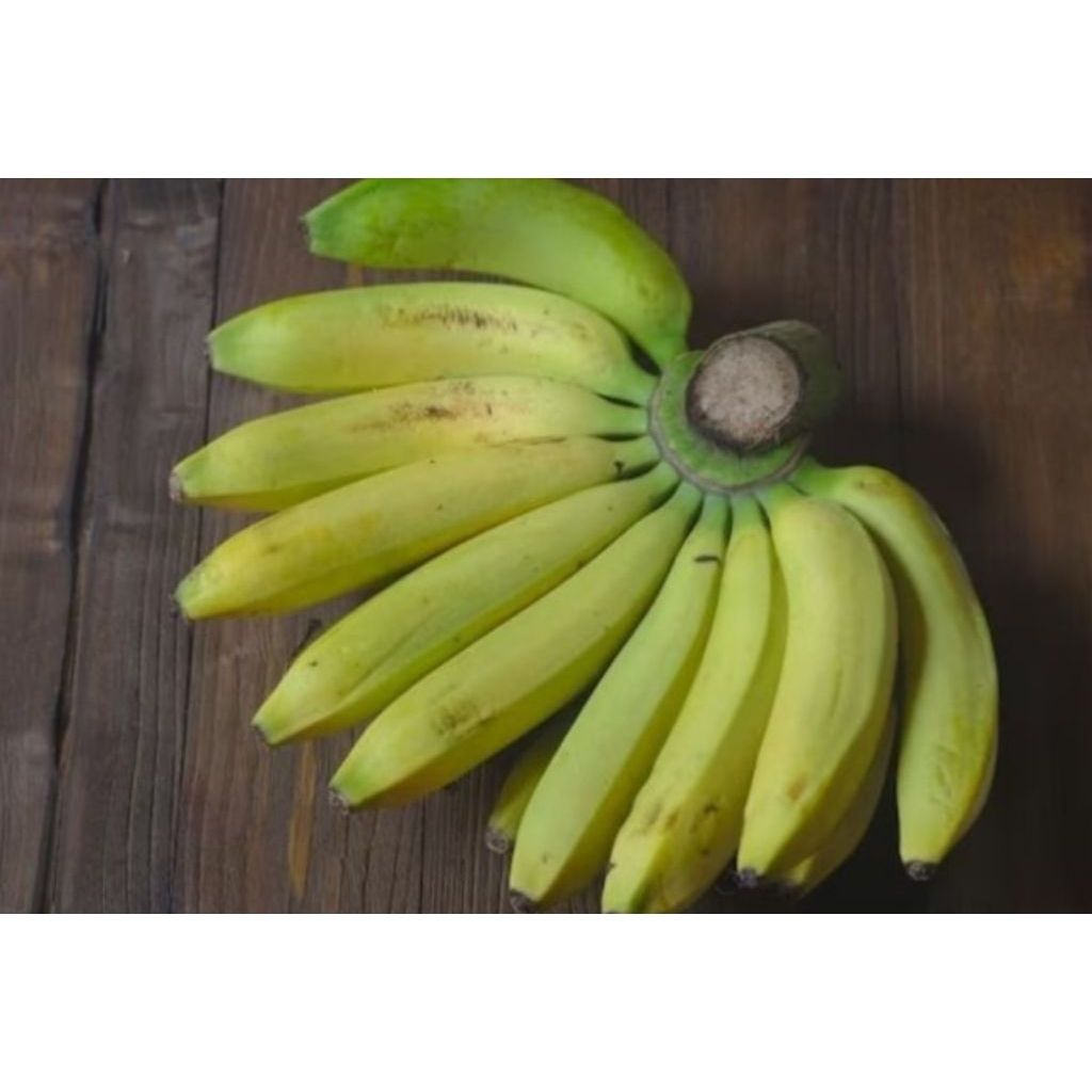 

Pisang Nangka kualitas Super