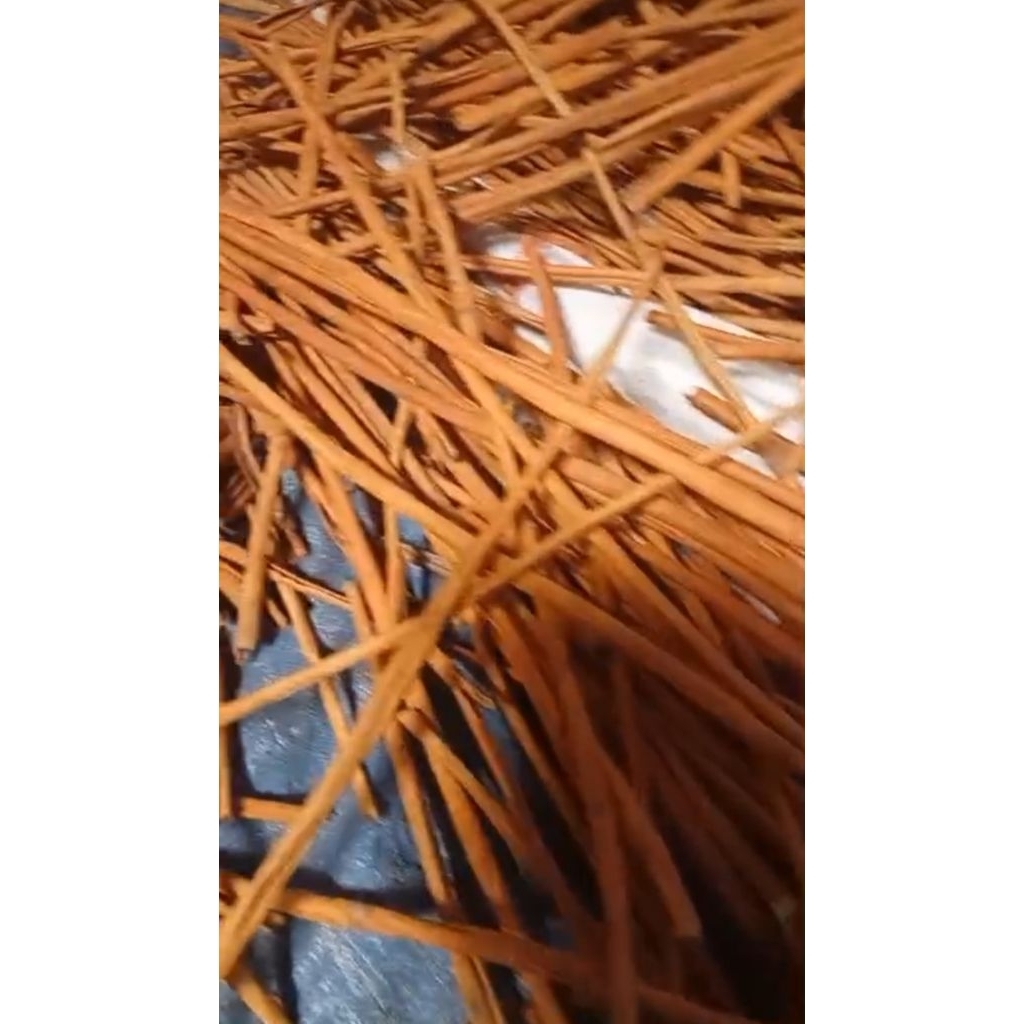 

kayu manis asli kerinci 65.000 dapat 1 kg