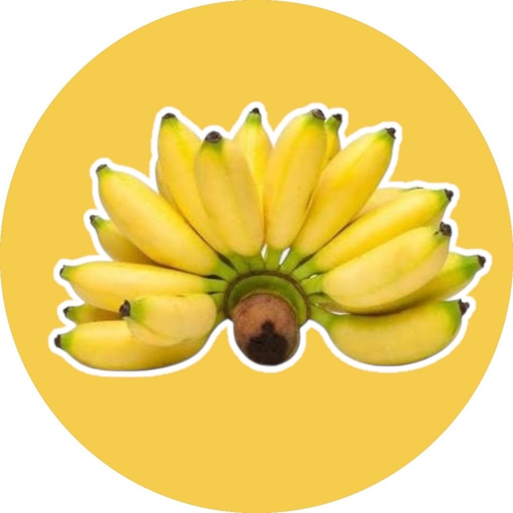 

Pisang putri/muli [bergaransi]