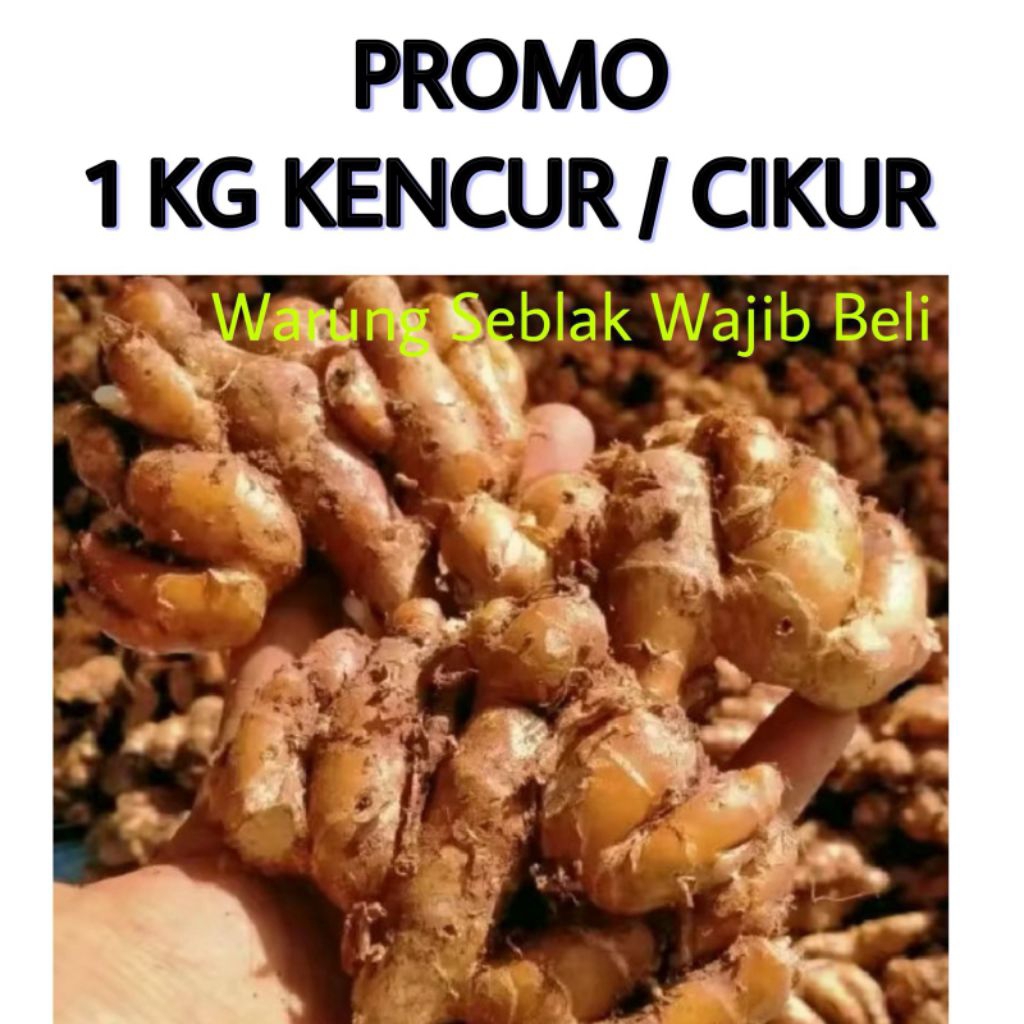 

1 kg Kencur | Cikur bumbu rempah segar bumbu masakan tradsional bumbu seblak