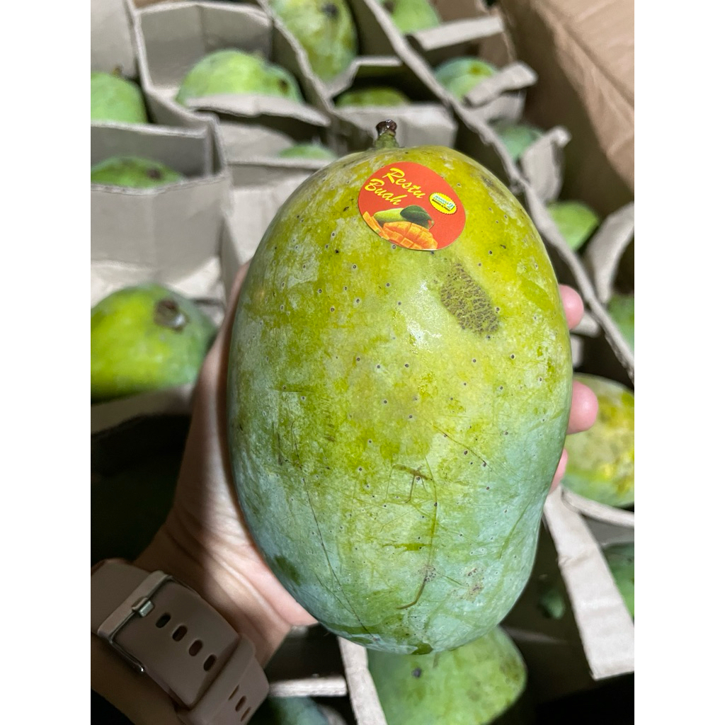 Mangga Alpukat 1Kg