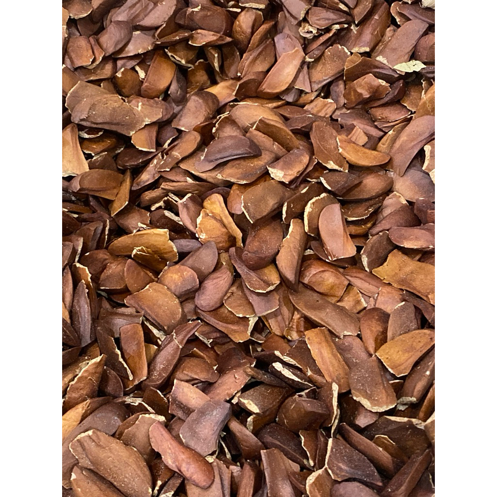 

Biji Mahoni / Biji Kayu Mahoni 1kg / Biji Mauni