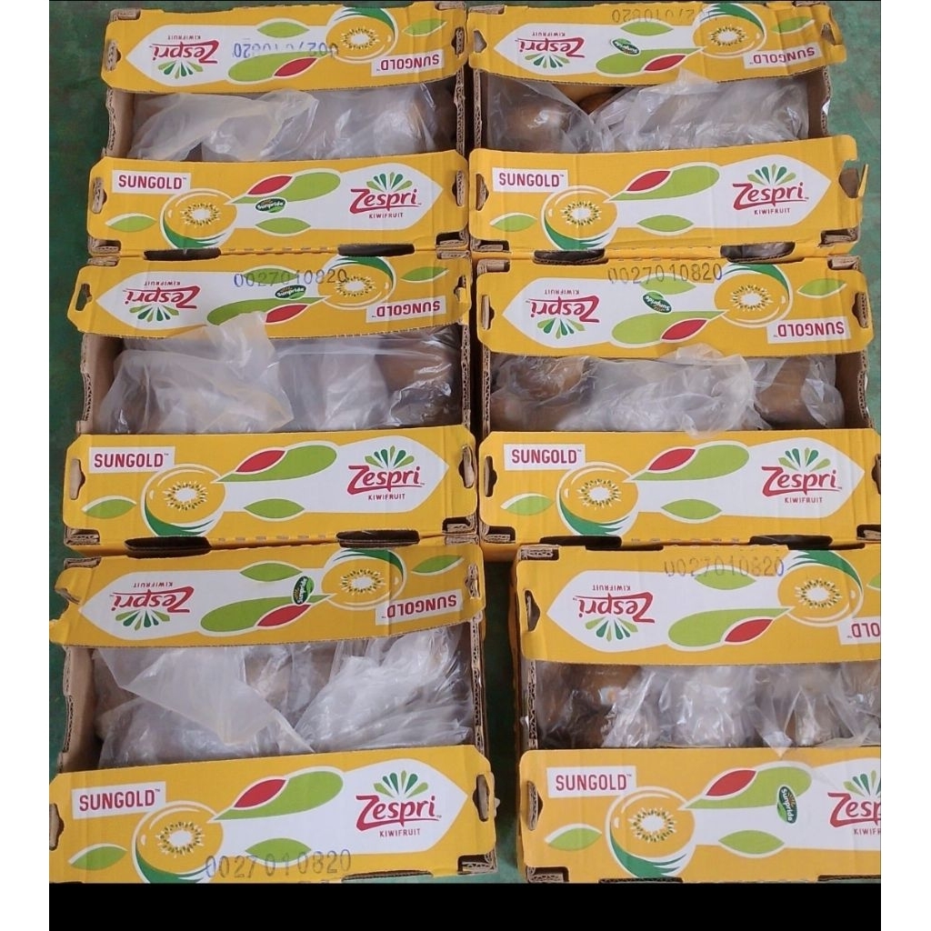 

kiwi zespri golden dusan isi ±5 kg