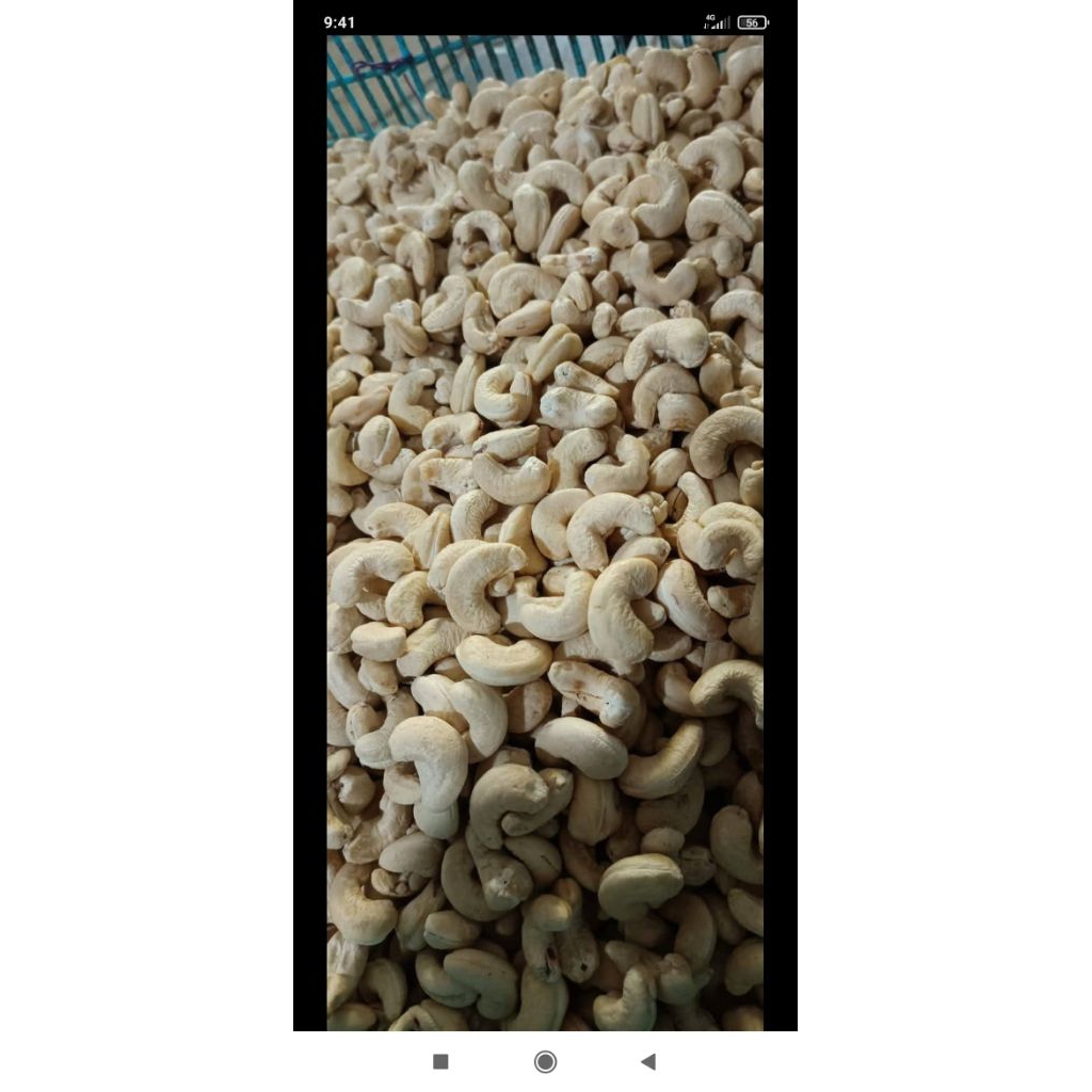 

kacang mede utuh mentah 500g