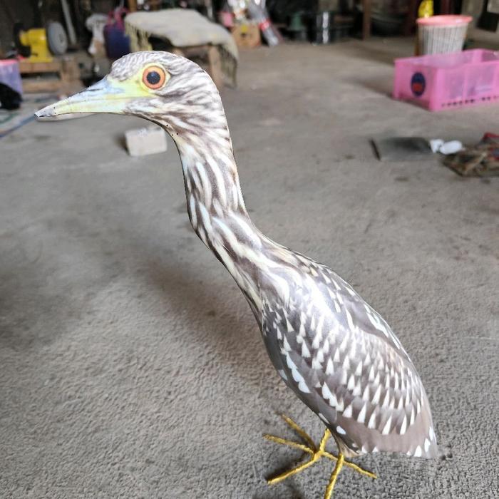 Jontrot boneka jontrot burung koak coklat / patung dekoy manuk ko ak rawa