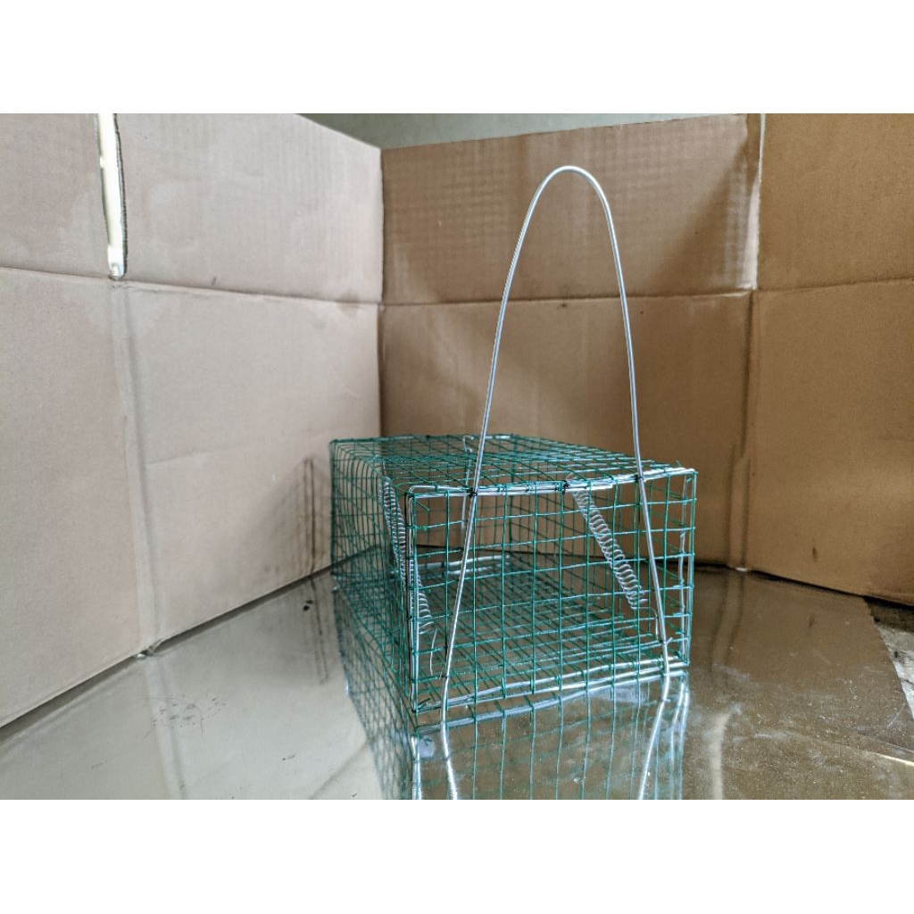 jebakan tikus paling ampuh