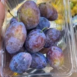 

Plum manis plum sugar manis fresh pack 500 gram