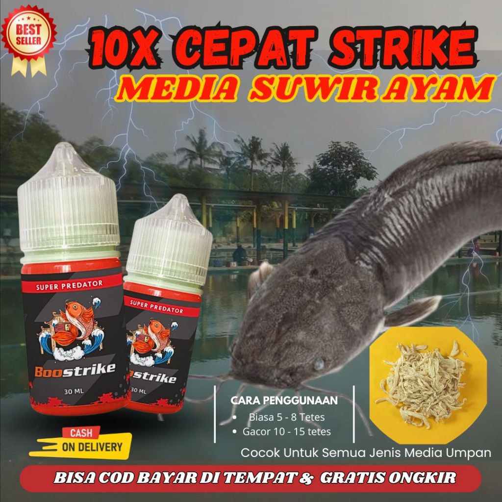 Essen Pengumpul Ikan Lele Harian Galatama Media Umpan Suwir Ayam Paling Juara - Essen Boostrike Supe