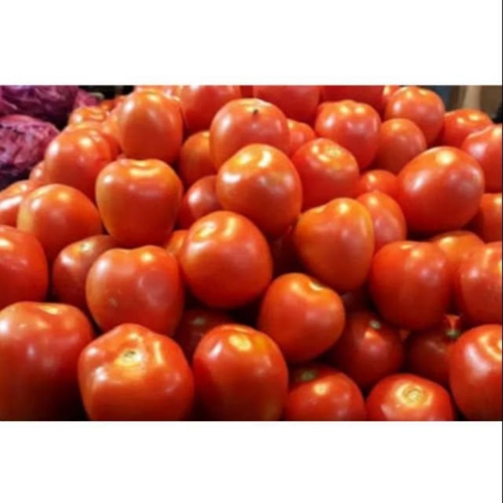 

{LB} tomat segar / pengiriman instan Bandung