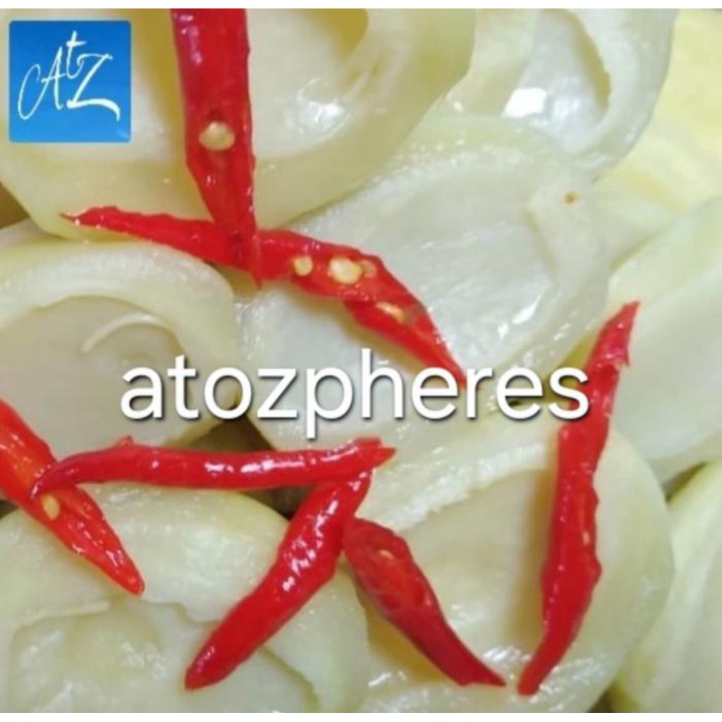 Manisan buah mangga muda belah oleh - oleh khas Medan 250g