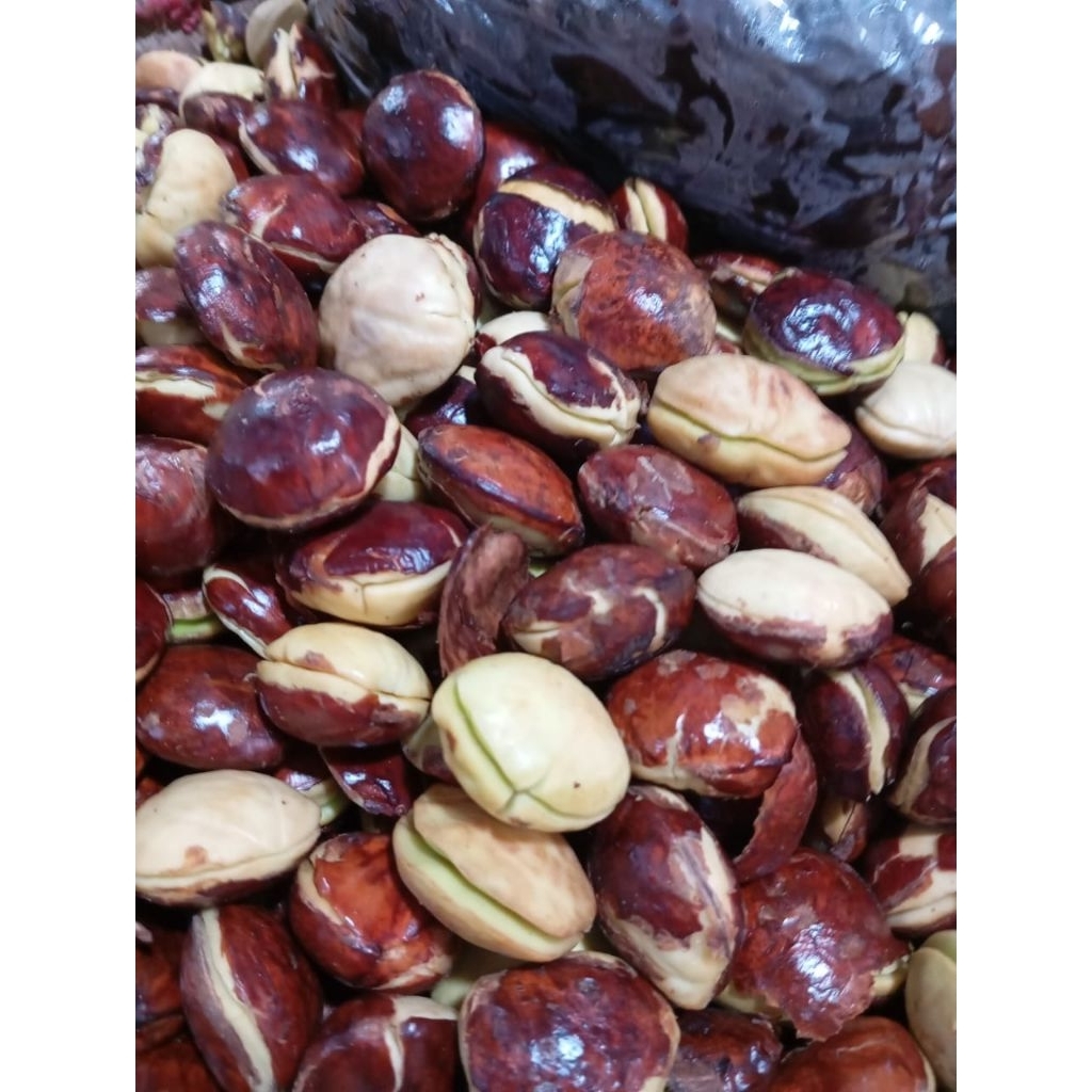 

Jengkol Segar Pilihan - Rasa Gurih & Khas Nusantara