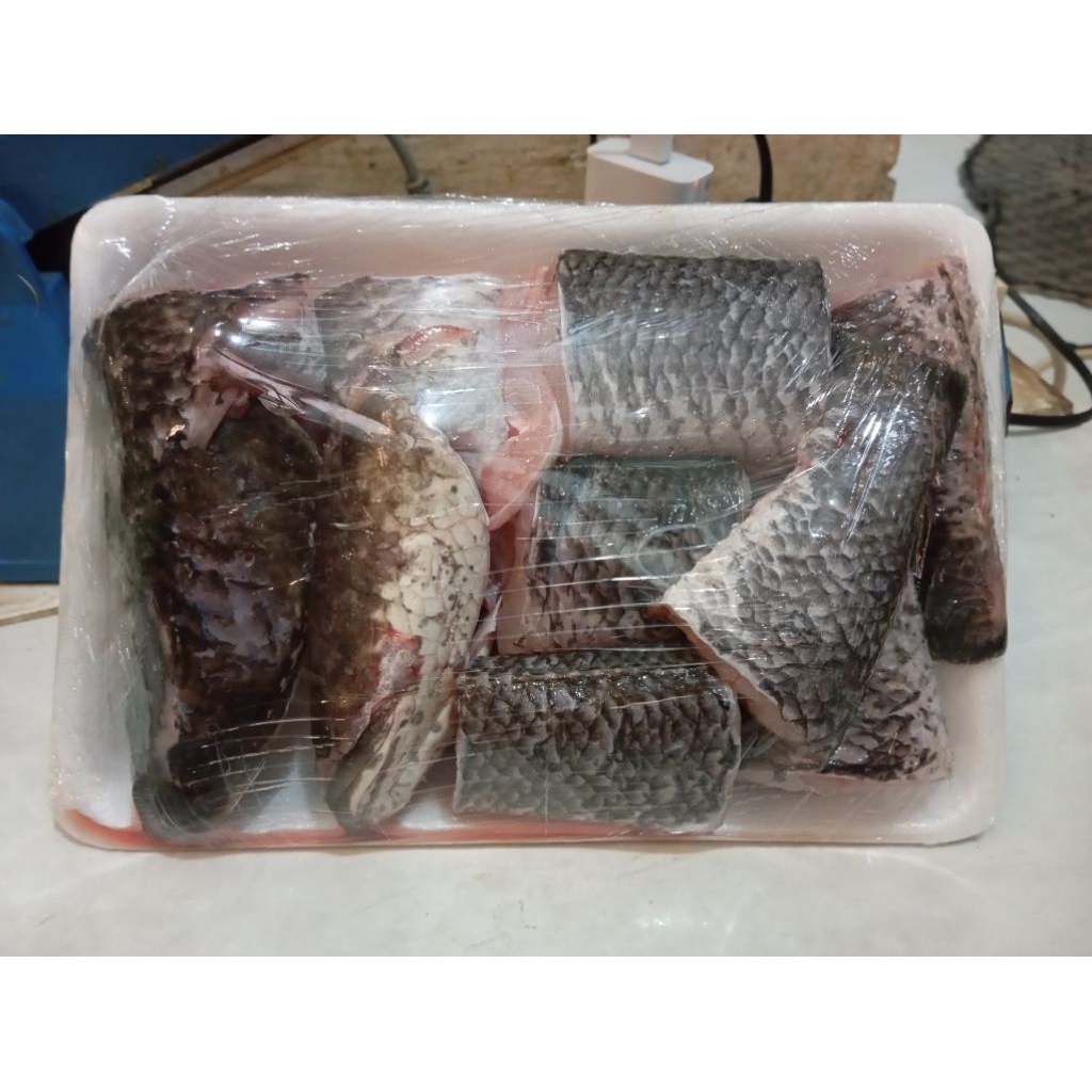 

TERMURAH | IKAN GABUS STEAK BERKUALITAS FRESH