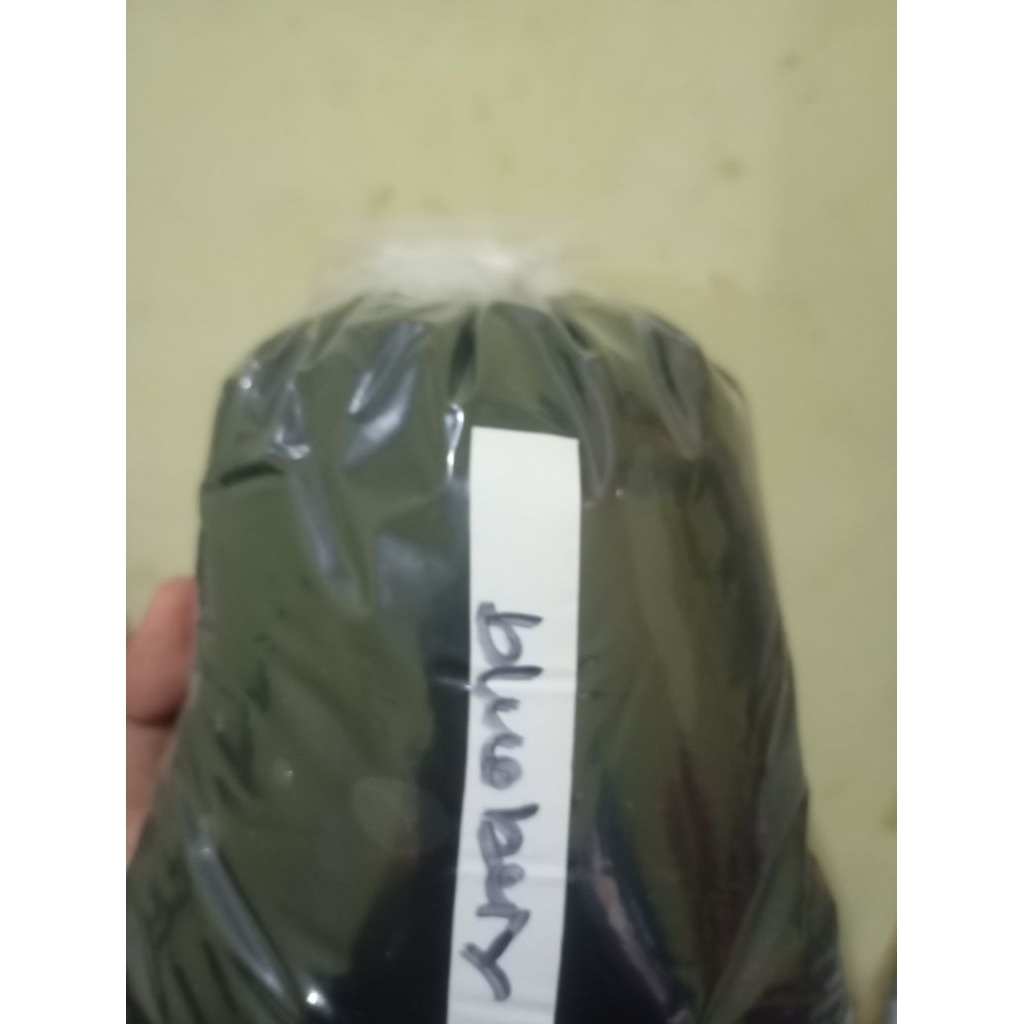 ROTI BAKAR BANDUNG ORIGINAL 2 PC + SELAI BLUEBERRY 200GR