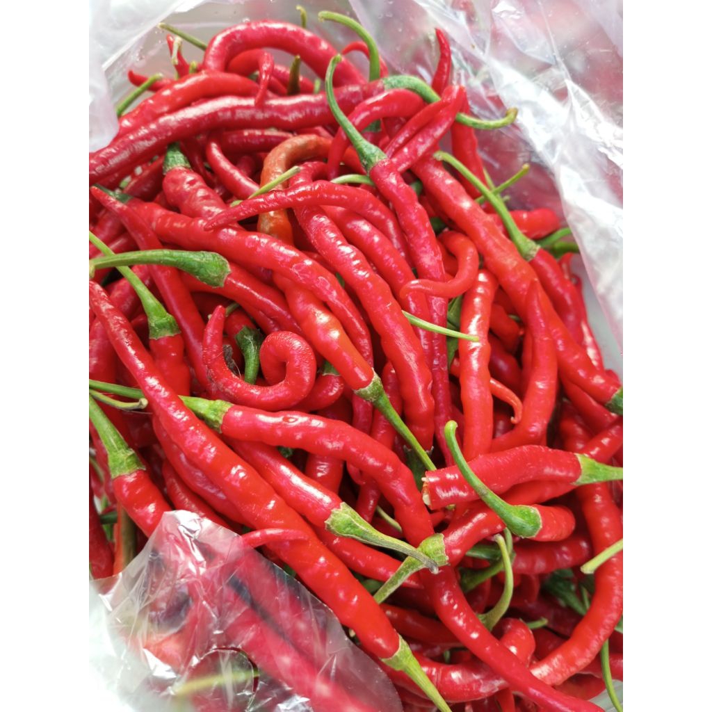 

Cabe merah keriting / cabai merah keriting 1/2kg