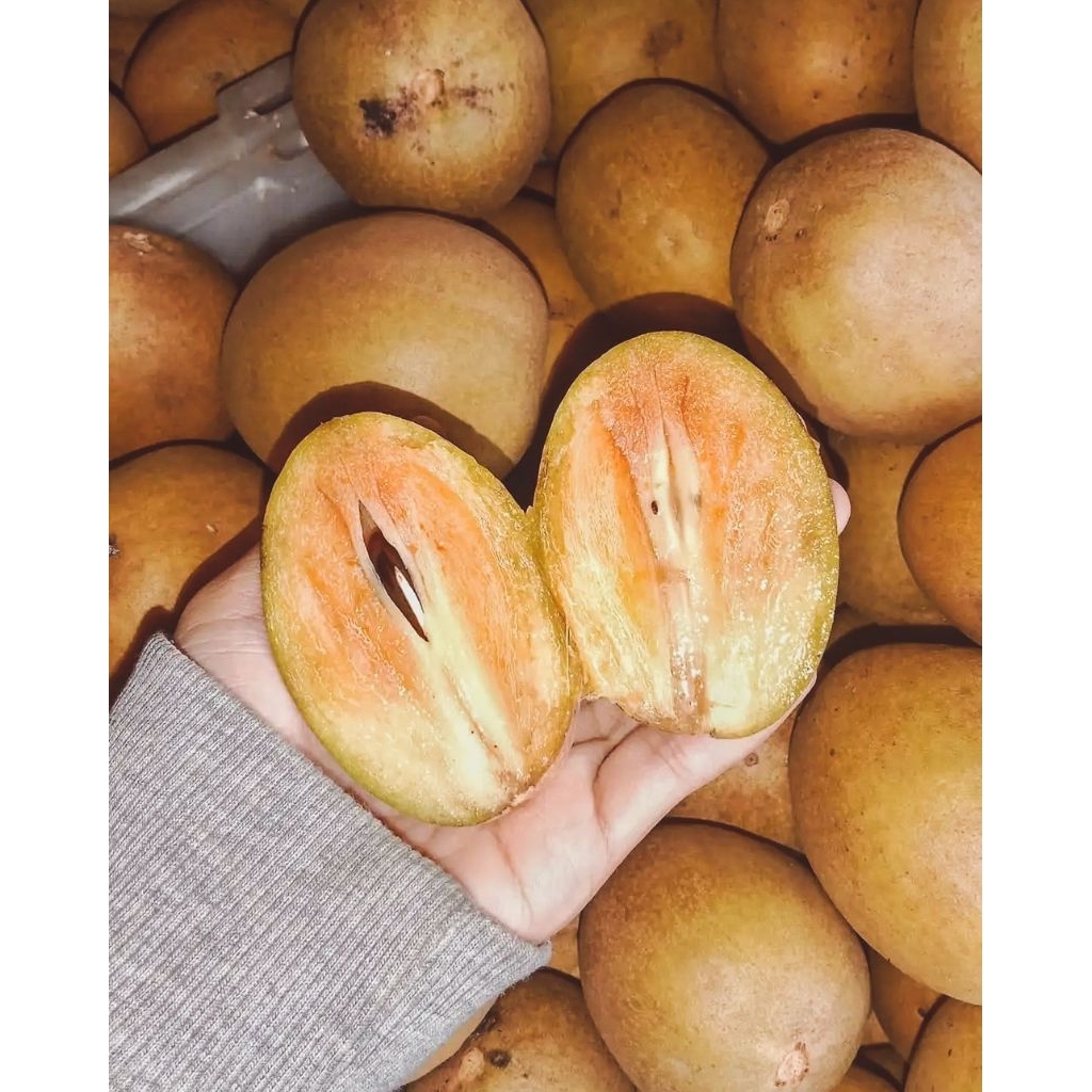 

Buah Sawo Segar Manis – Isi 2–5 Buah (±500gr) – Lapak Warga Lokal 10K