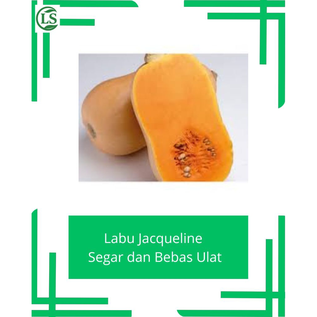 Labu Jacqueline Pcs Segar Surabaya