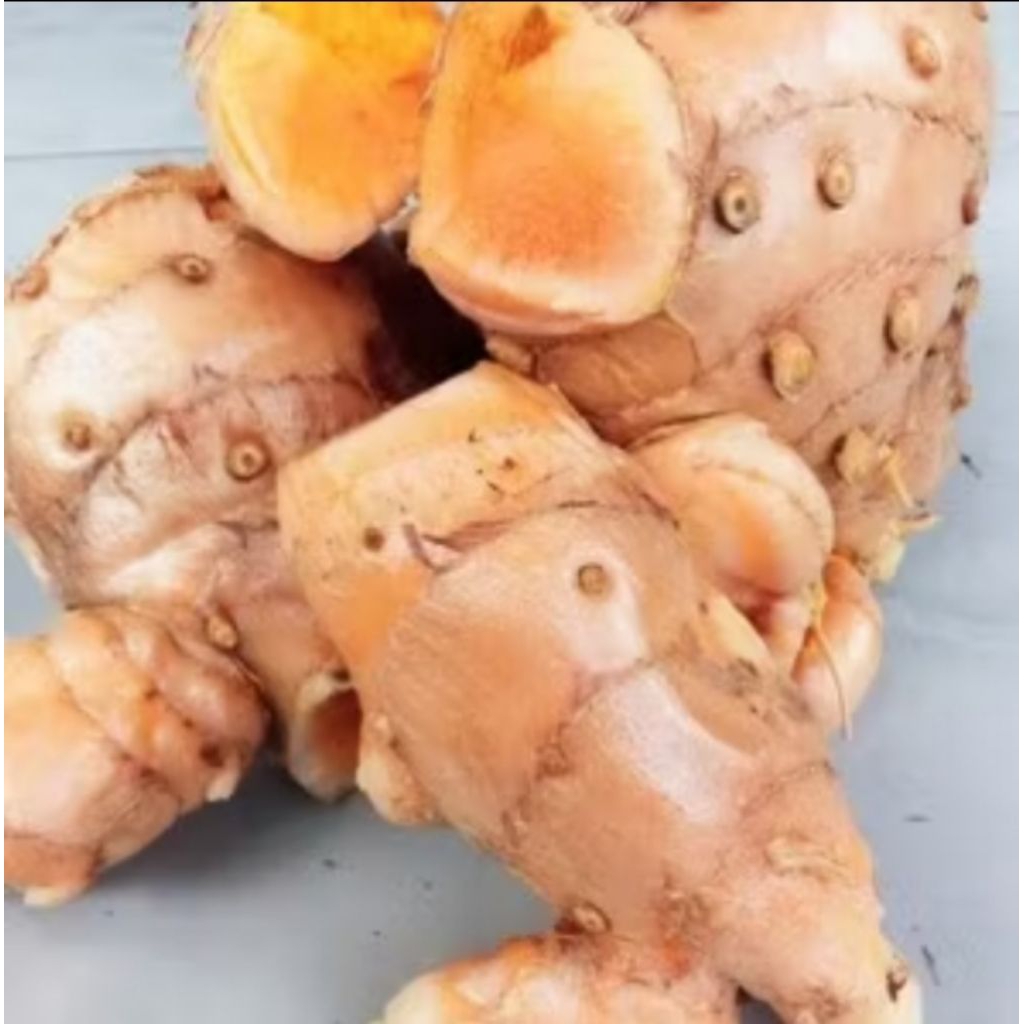 

temu lawak asli/koneng gede 1kg fres