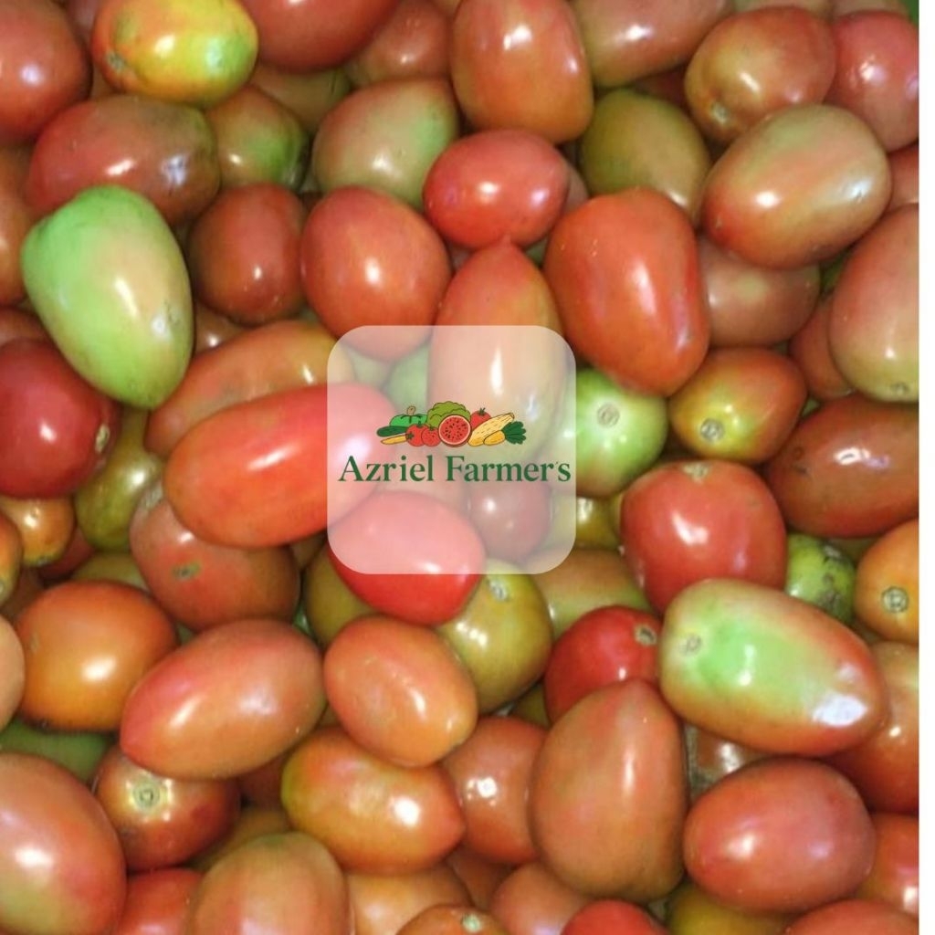 

Tomat Fresh langsung dari petani / 1kg