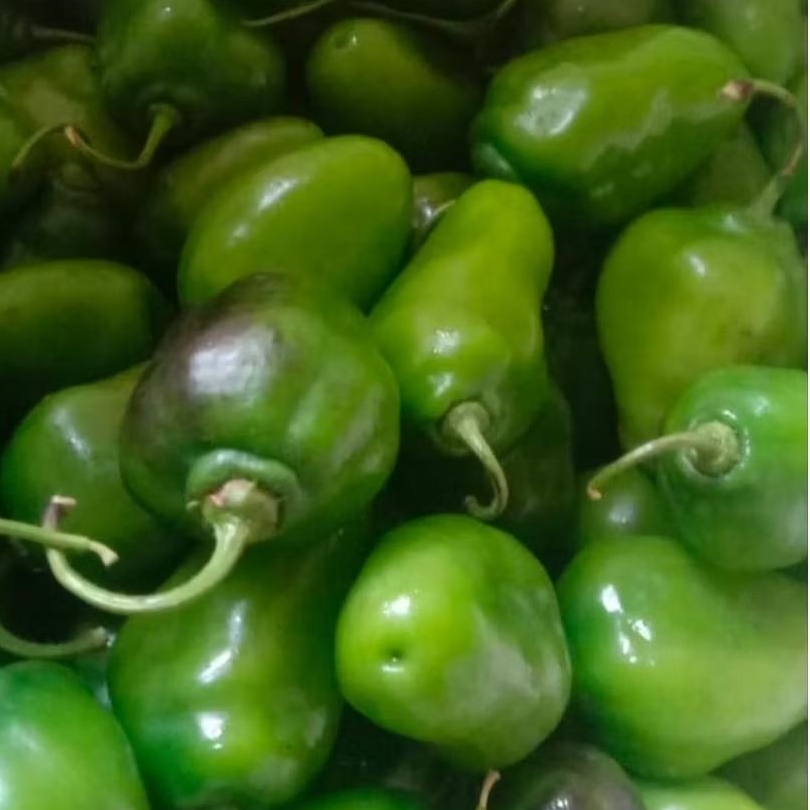 

cabai / cabe gendot segar 1kg langsung dari petani