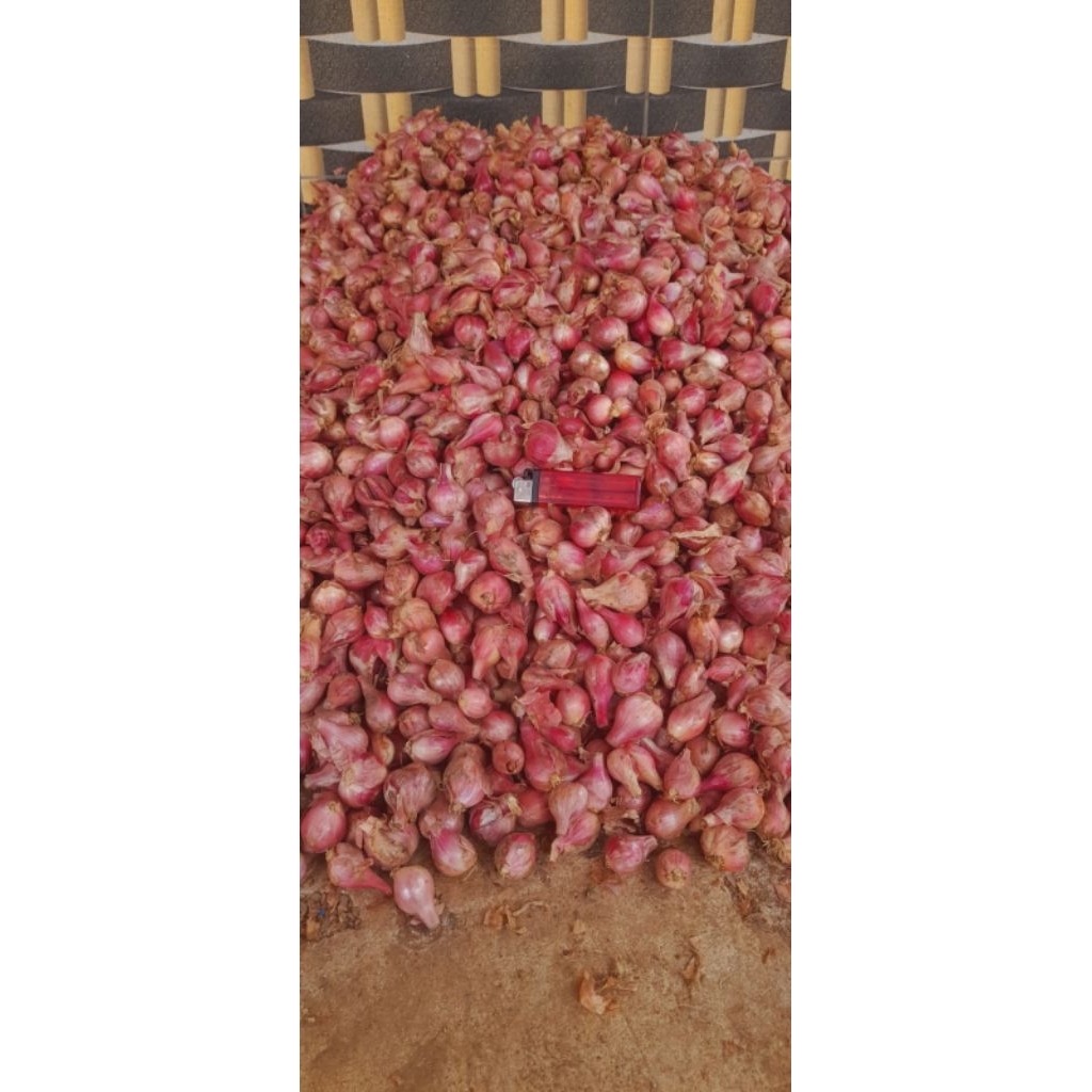 

bawang merah setengah kilo