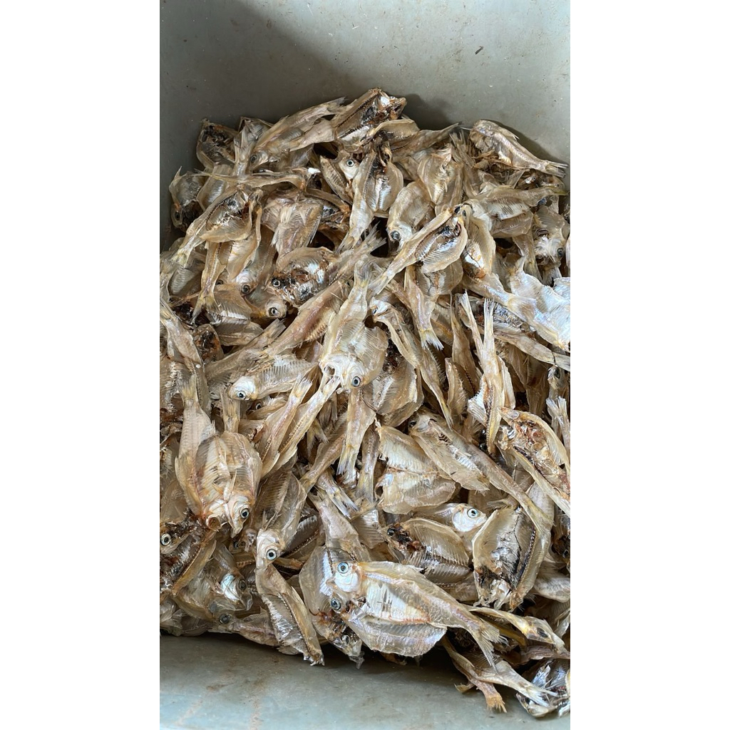 

ikan teri tawar/ikan kering bulu ayam/ tipis renyah