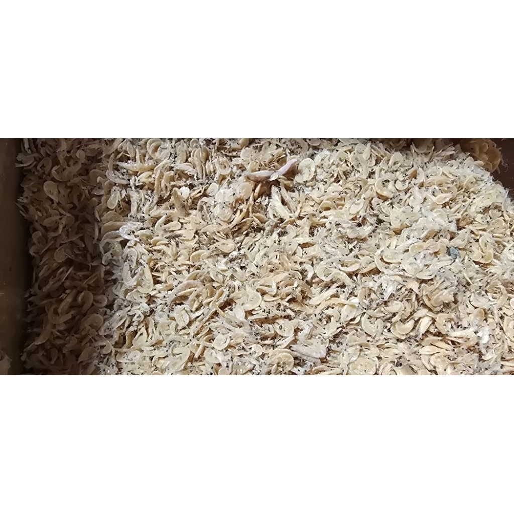 

ikan asin rebon / larong