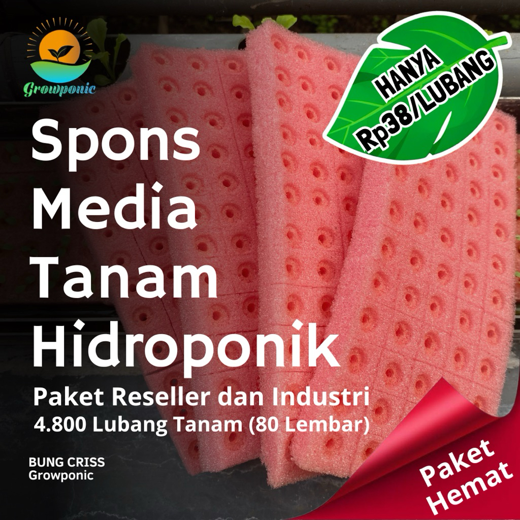 [ PAKET HEMAT ] Spons Media Tanam Hidroponik 4.800 Lubang Alternatif Rockwool - Papan Semai Benih Bi