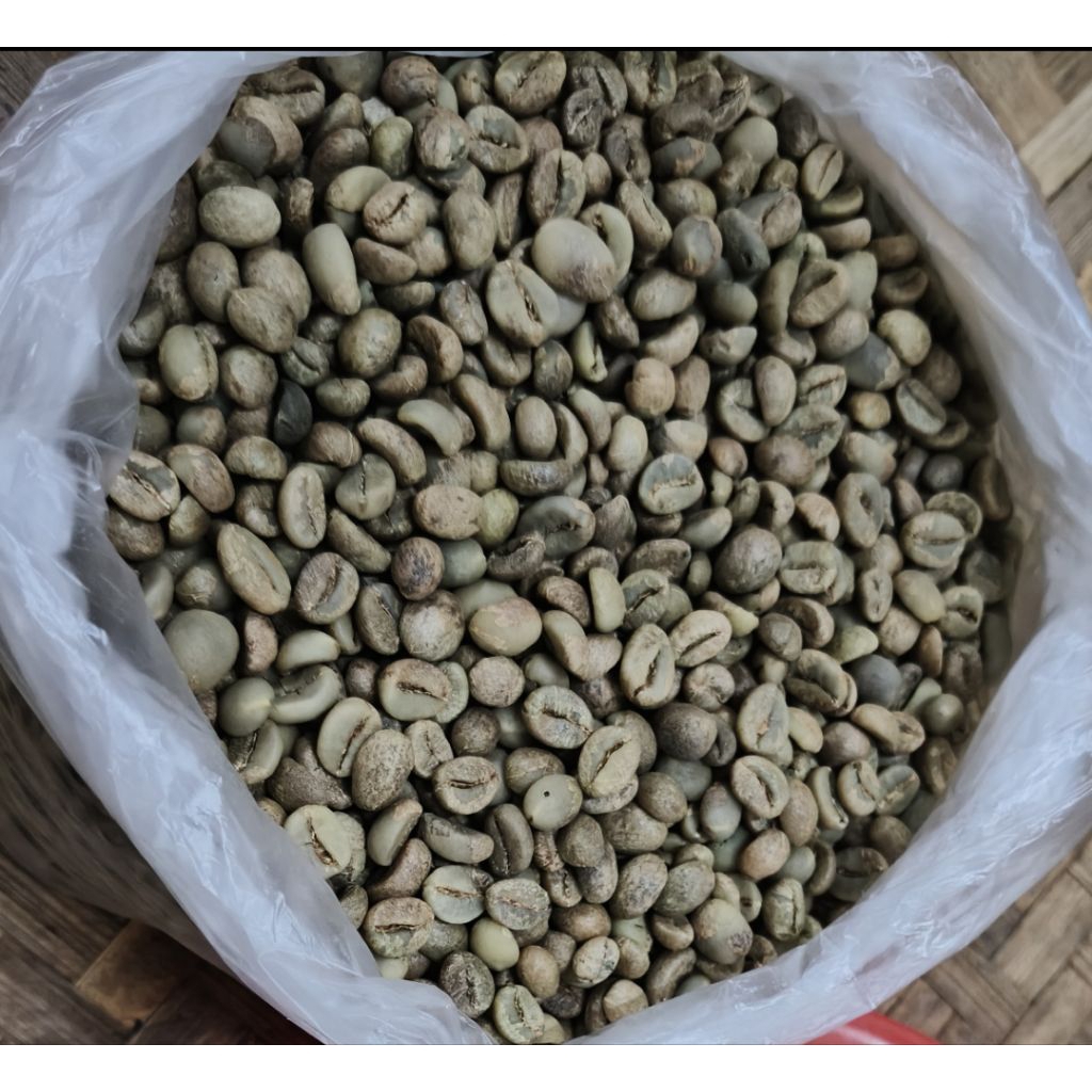PETANI GREEN BEAN KOPI ROBUSTA ASALAN MURNI LAMPUNG  1KG (1000gr)