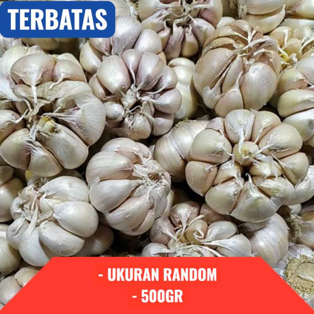 

Bawang Putih Biasa 500gr