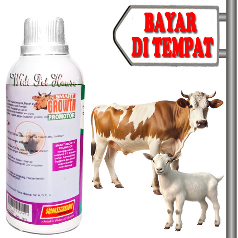 Vitamin Tambah Berat Badan Sapi Kambing Kuda Penambah Daging Penggemuk Smart Growth
