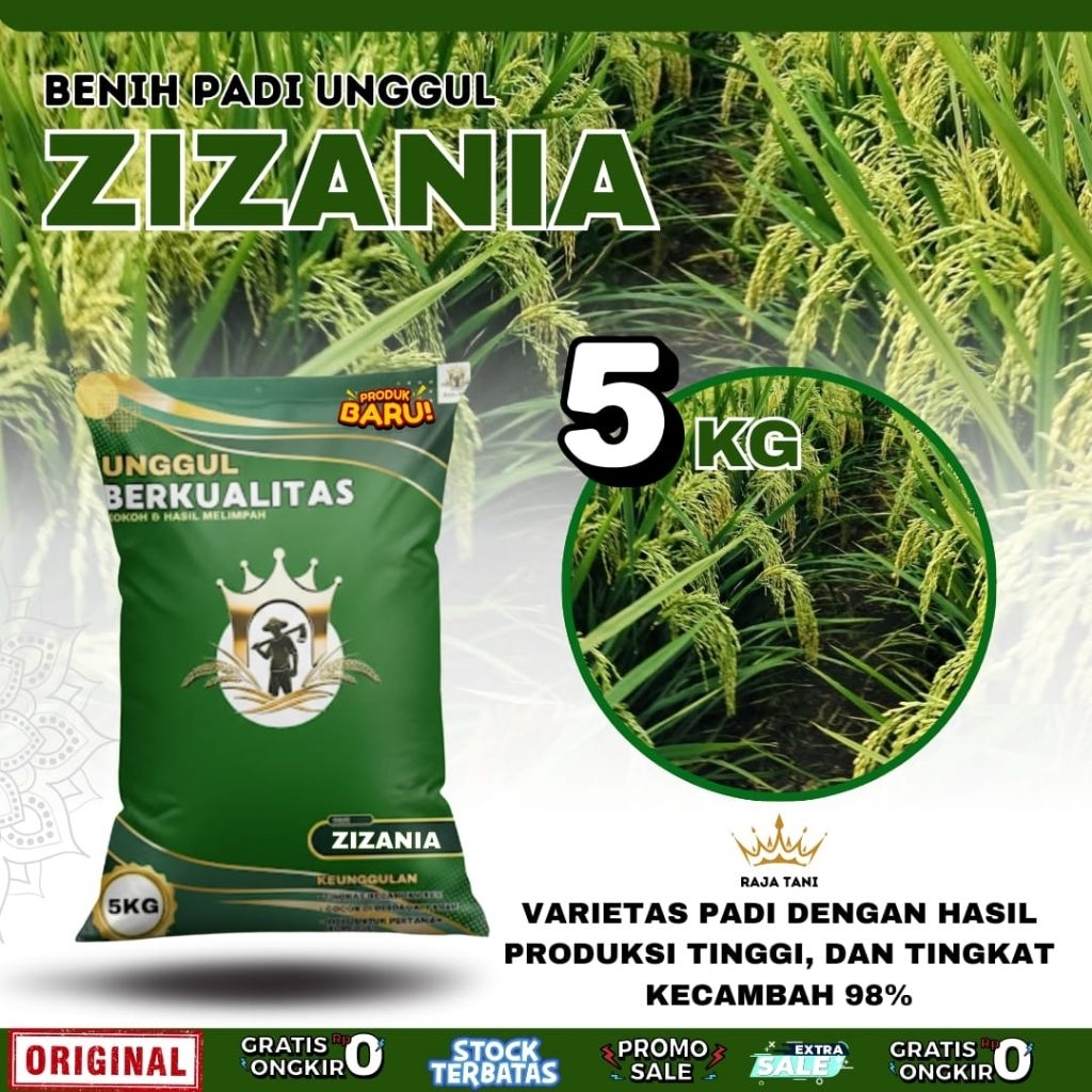 BENIH PADI BIBIT PADI ZIZANIA ORIGINAL KEMASAN 5KG BERKUALITAS