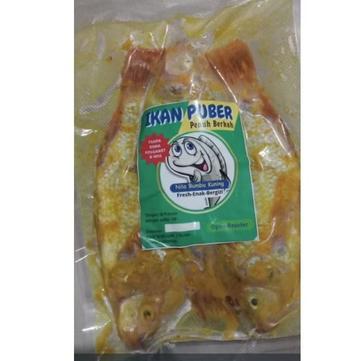 Ikan bumbu,Nila bumbu kuning, nila marinasi siap untuk digoreng,dibuat dr ikan nila Segar.