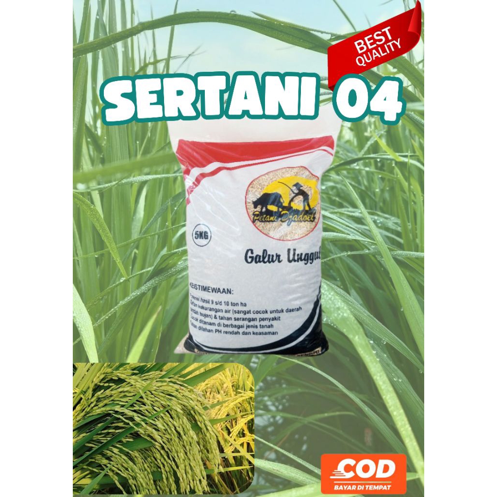 BIBIT PADI SERTANI 04 ORIGINAL