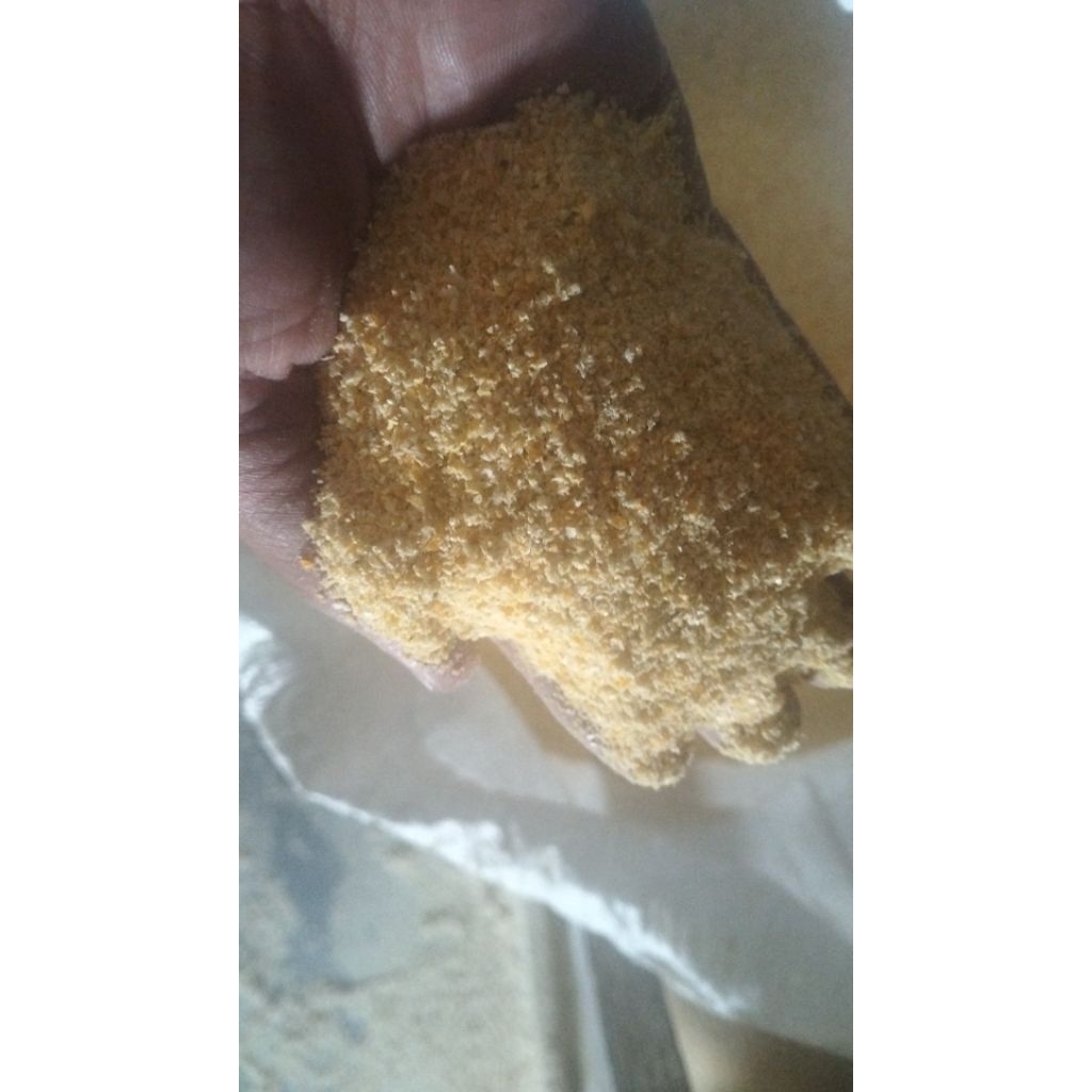 Ampok Jagung ( Dedak halus jagung) solusi terbaik untuk Hewan peliharaan Anda. ( Burung, Merpati, Ay