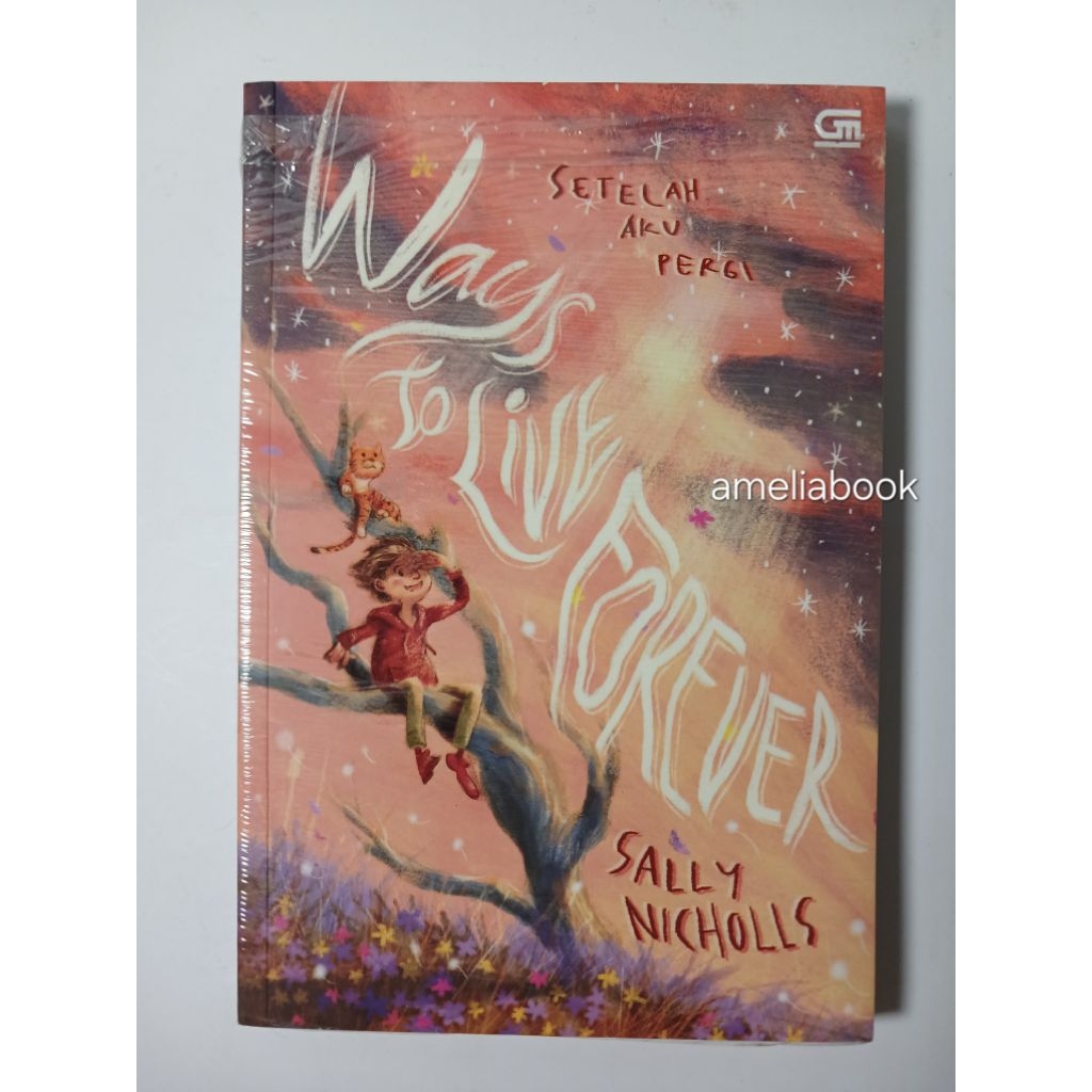 Novel Preloved Ways to Love Forever Setelah Aku Pergi Sally Nicholls