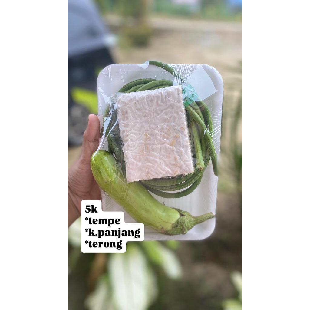 

paket sayur3