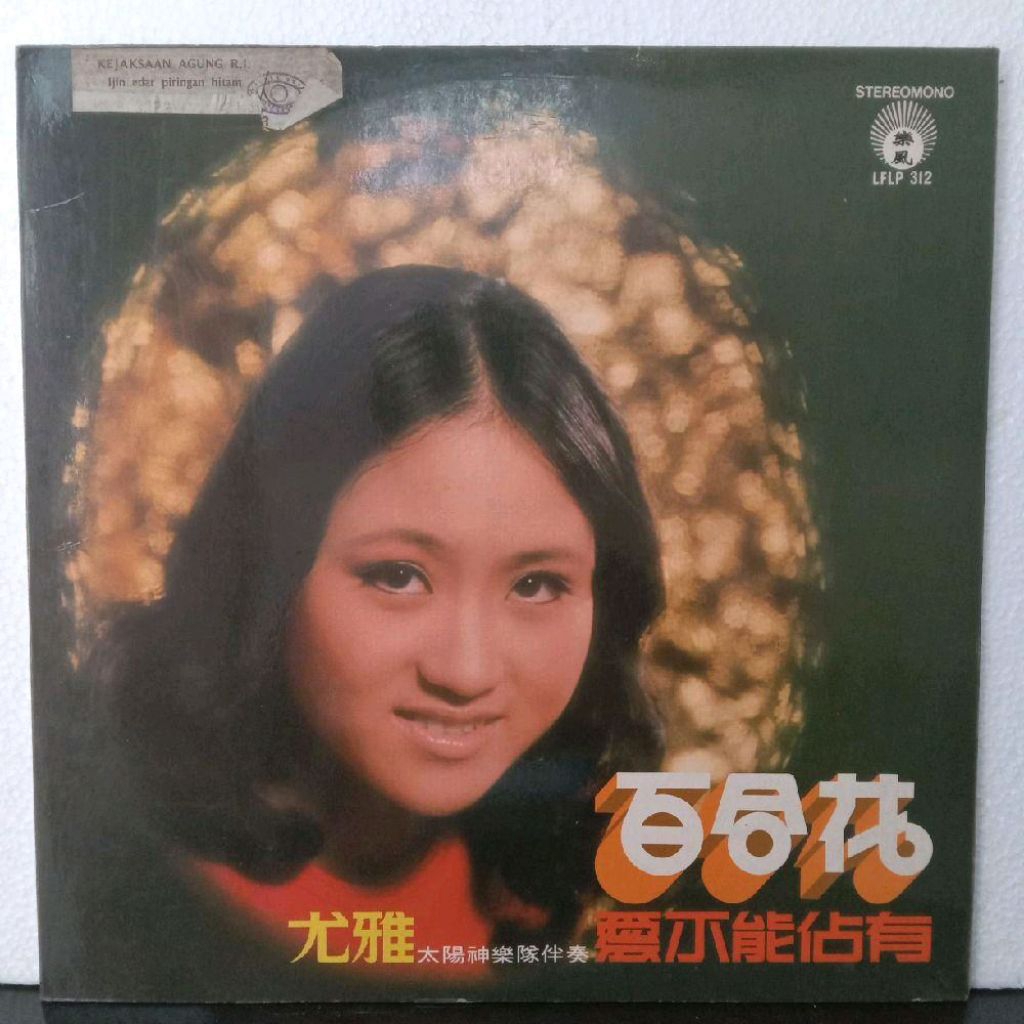 Vinyl Piringan Hitam 12 inch Mandarin