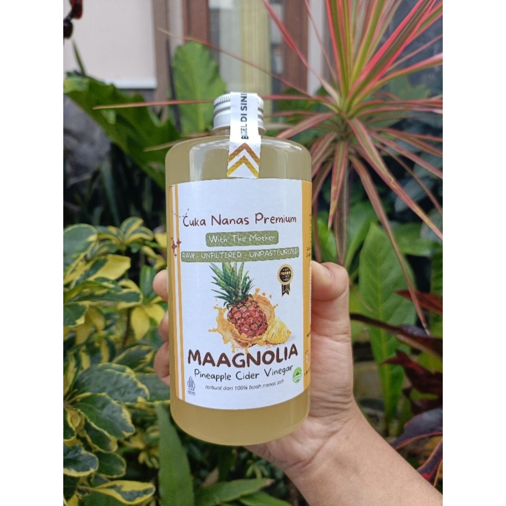 

CUKA NANAS & CUKA APEL MAGNOLIA