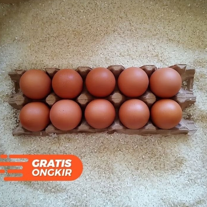 

TELUR LOKAL FRESH / TELUR AYAM / TELUR JUMBO - 10 butir, 1 kg, 30 butir